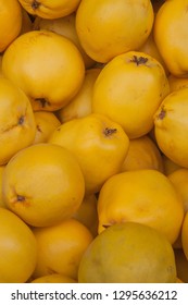 Quince In Fruit Crate