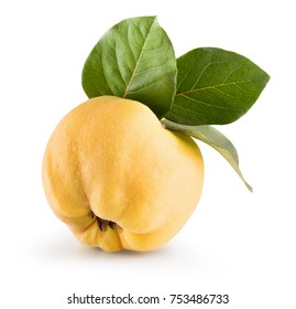 Quince Isolated On A White Background