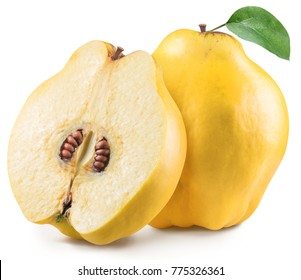 Quince With Quince Leaf. File Contains Clipping Path.