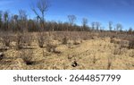 Quincy Bluff State Natural Area in Wisconsin