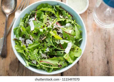 Quinoa & Baby Kale Salad With Sunflower Seeds, Shredded Coconut, Mixed Quinoa And Mint Yoghurt Dressing