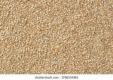 Quinoa grain or seeds for texture or ingredient background