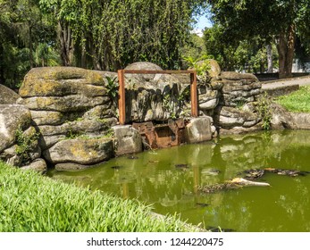 Quinta Da Boa Vista - RJ