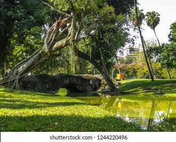 Quinta Da Boa Vista - RJ