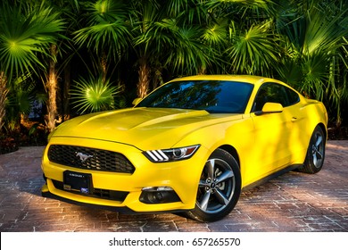 Yellow Mustang Images Stock Photos Vectors Shutterstock