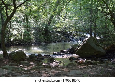 Quite Rocky Brook In The Morning Light 