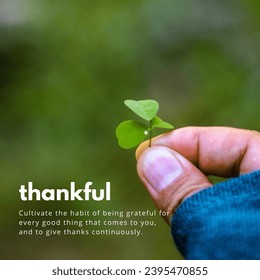 Quote about thankful. Cultivate the habit of being grateful for every good thing that comes to you, and to give thanks continuously. - Shutterstock ID 2395470855