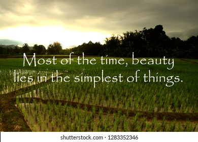 Paddy Fields Quotes Hd Stock Images Shutterstock