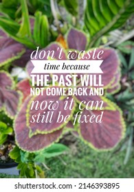 Quote “don't Waste Time Because The Past Will Not Come Back And Now It Can Still Be Fixed”