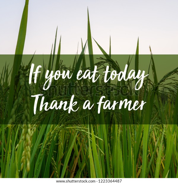 Quotes About Farming Agriculture Food Thought Stock Photo (Edit Now ...