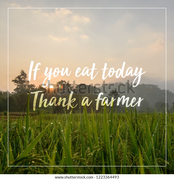 Quotes About Farming Agriculture Food Thought Stock Photo 1223364493 ...