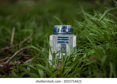 R2-D2 In The Wild Amongst The Grass