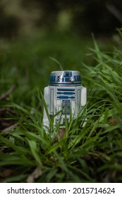 R2-D2 In The Wild Amongst The Grass