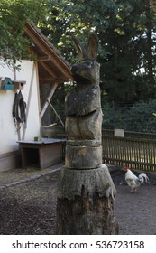 rabbit