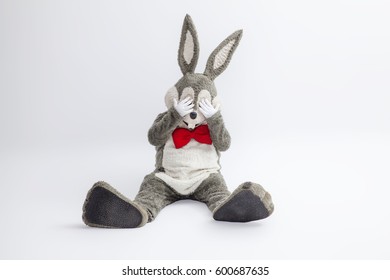 rabbit