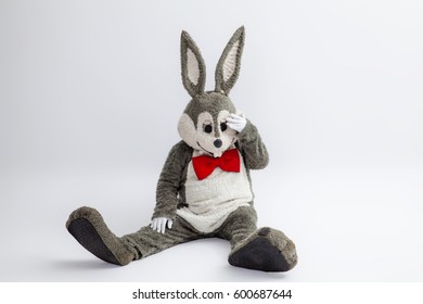 Rabbit