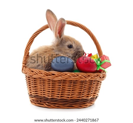 Rabbit in the basket with eggs and gifts isolated on a white background.