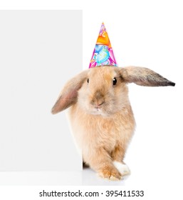 party hats for rabbits