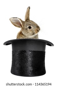 Rabbit Bunny In Top Hat Magic Trick Isolated