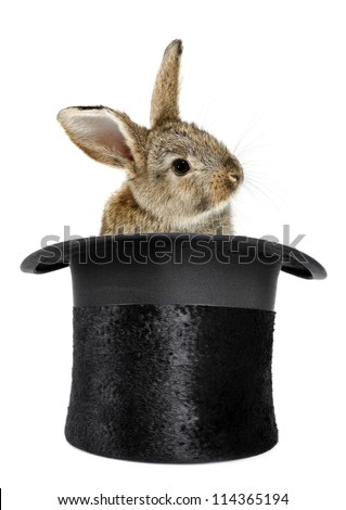 Rabbit Bunny Top Hat Magic Trick Stock Photo (Edit Now) 114365194 ...