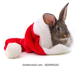 Rabbit In A Christmas Hat Isolated On A White Background.