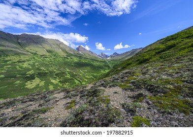 Rabbit Creek In The Chugach Mountains