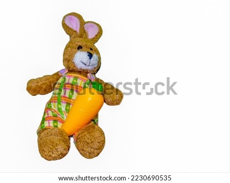Rabbit doll with orange carrots placed on her lap.