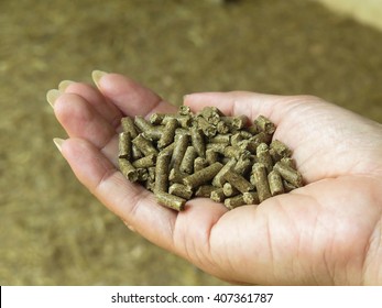 Rabbit Food On Hand,animal Feed 