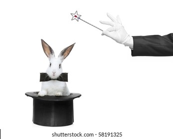 A Rabbit In A Hat And Hand Holding A Magic Wand Isolated On White Background