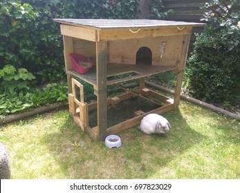 rabbit house - Shutterstock ID 697823029