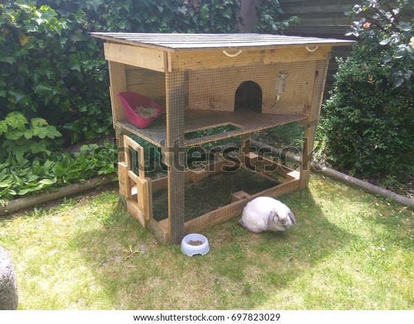 rabbit
house
