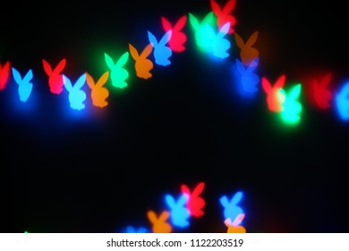 rabbit light bokeh