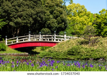 Rabbitear iris flower and red drum bridge.