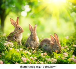 Rabbits. Beauty Art Design of Cute Little Easter Bunny in the Meadow. Spring Flowers and Green Grass. Sunbeams - Powered by Shutterstock