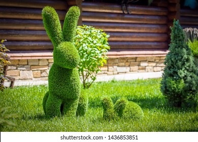 rabbits created from bushes at green animals. Topiary Gardens - Shutterstock ID 1436853851