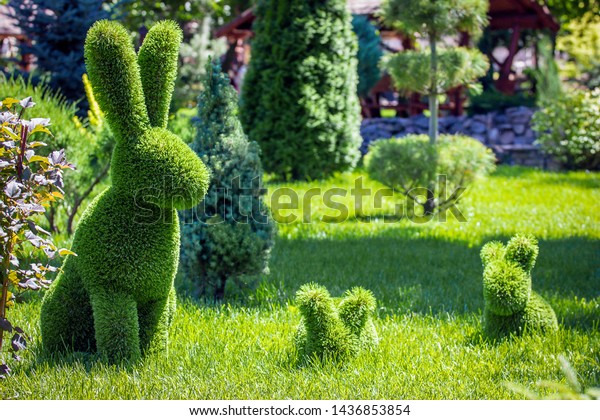 Rabbits Created Bushes Green Animals Topiary Stock Photo Edit Now