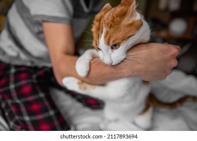 Rabid White-red Cat Furiously Scratched, Bit Through The Mans Hand Until It Bled. Pet Attack. Swollen Scratches From Wild Animal On A Humans Hand. Medical Care, Wound Care. Close Up, Copy Space