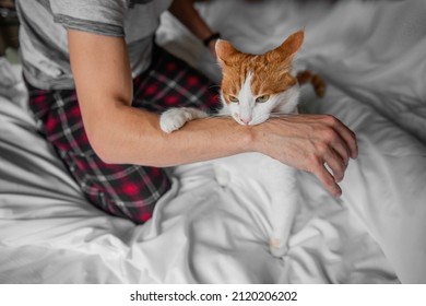 Rabid White-red Cat Furiously Scratched, Bit Through The Mans Hand Until It Bled. Pet Attack. Swollen Scratches From Wild Animal On A Humans Hand. Medical Care, Wound Care. Close Up, Copy Space