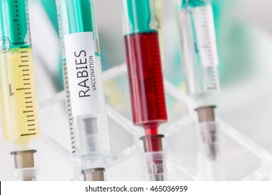 Rabies Vaccination