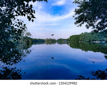 Rabindra Sarobar Lake In Kolkata India