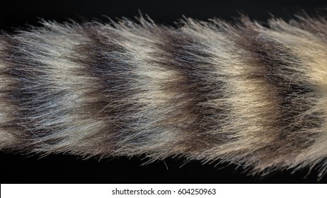 Raccoon Tail Close Up Of Fur Macro Photography Isolated Black Background