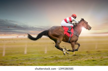 Race horse with jockey on the home straight. Shaving effect.