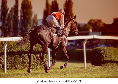 Race Horse With The Jockey Runs Towards The Finish Line.