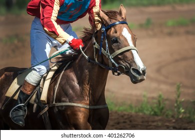 Race Horse In Run