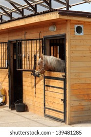 Race Horse In Stalls,   The Head Outside Of The Stable