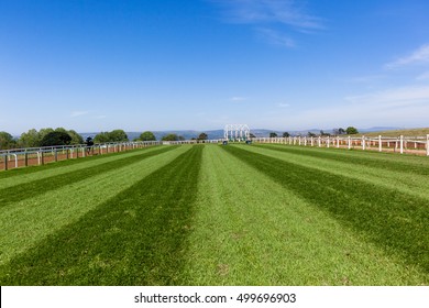 Race Horse Track Landscape
Race Horse Grass Training Tracks Blue Sky Landscape.