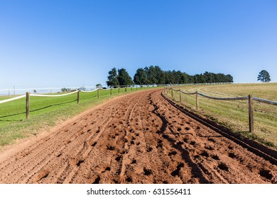 Race Horse Training Sand And Grass Tracks Morning Landscape