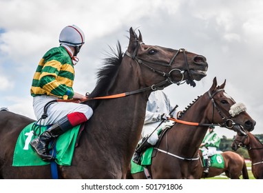 Race Horses And Jockeys Up Close Before A Race