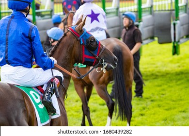 Horse Race Starting Gate High Res Stock Images Shutterstock