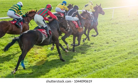Race horses sprinting towards the finish line with sunlight lens flare effect